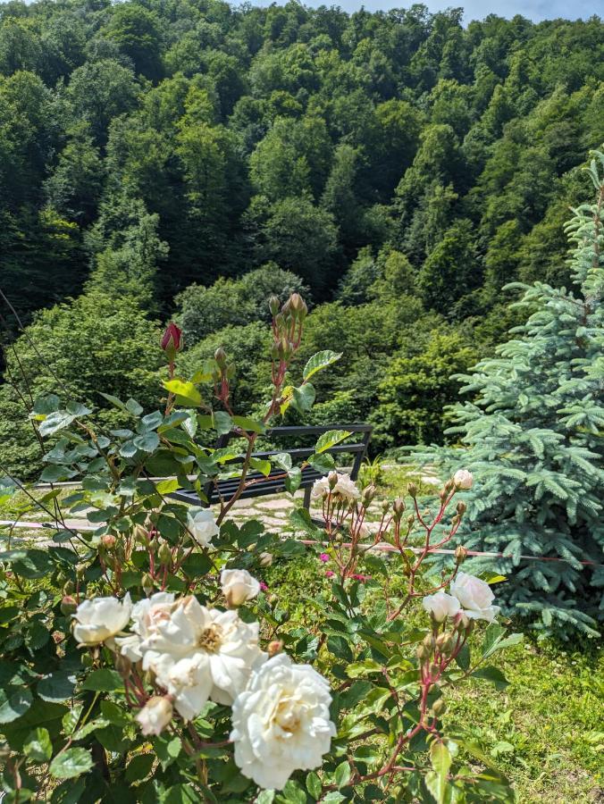 Hotel Vanatun, Haghartsin Monastery Teghut Zewnętrze zdjęcie